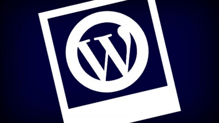 Which CMS make up the WordPress Competition?